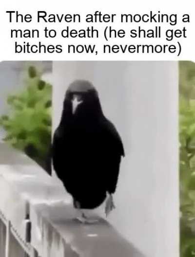 The gaunt, ghastly raven, who gets bitches named lenore