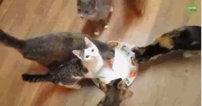 Sense of betrayal