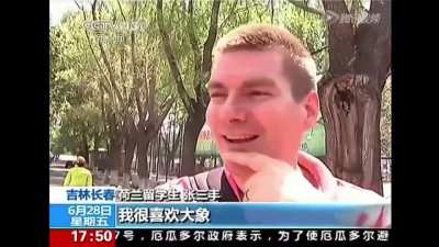 抽象荷兰人