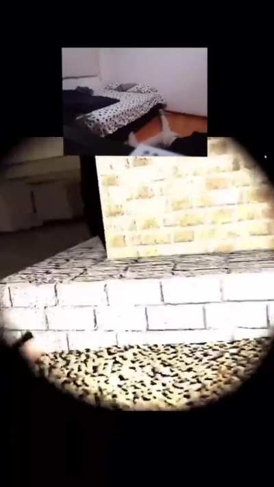 VR Horror