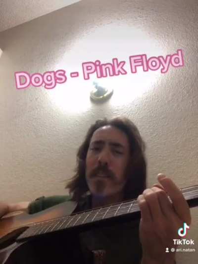 Learning songs is one of my favorite pastimes, this is one I&rsquo;m working on, Dogs by Pink Floyd