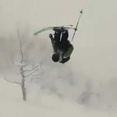 Trees are known to hide until the right moment to catch their prey ..