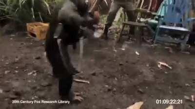 Macacos da Angola &eacute; foda