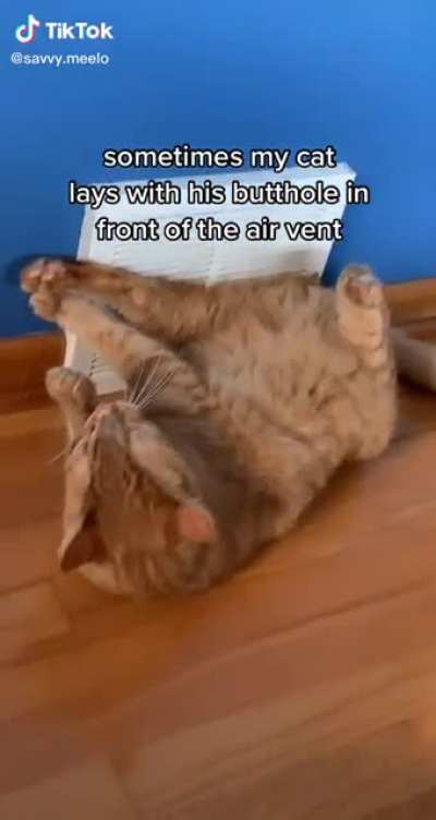 It&rsquo;s always the orange ones.