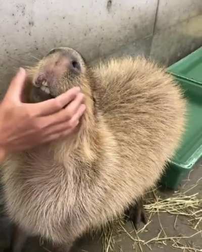So Precious ❤️