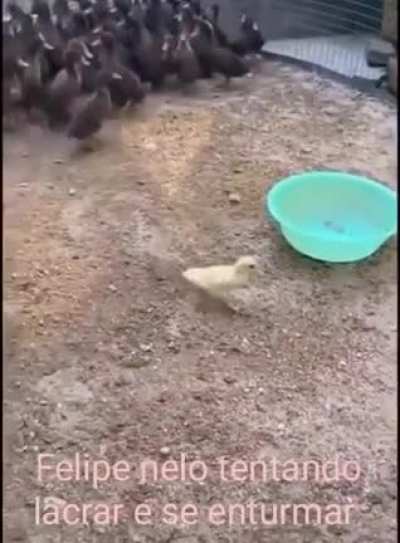 ...e depois apaga o tuite kkkkk (que pena que n&atilde;o d&aacute; pra tuitar no modo criativo)