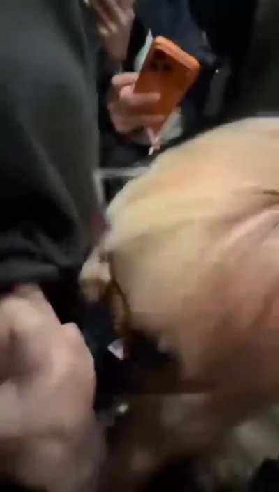 Chinese girl sucking cock in public