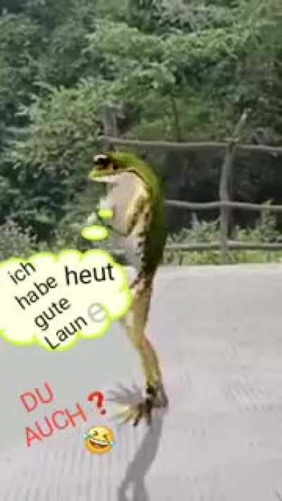 ich habe heut gute Laun e 😂😂😂😂😂🤣🤣🤣🤣