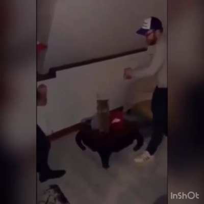 What to do when your friend drinks too much alcohol..