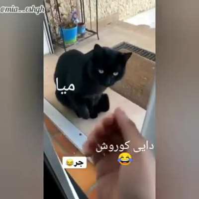 😂😂😂