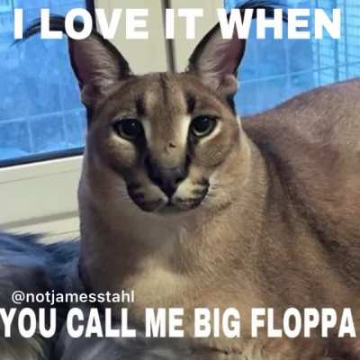 In celebration of FLOPPA FRIDAY here&rsquo;s a video I made :)