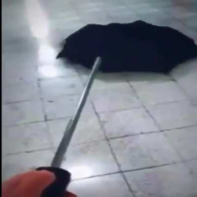 Cursed_umbrella