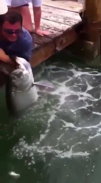 Catching fish 🐠