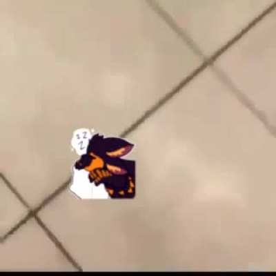 Avali_Irl