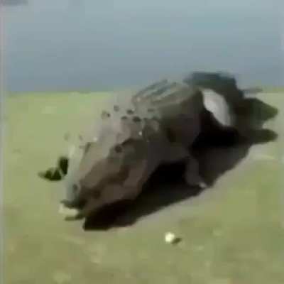 ! Bong ¡