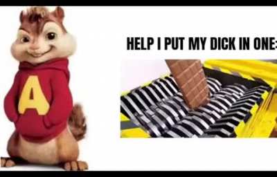 alvin cbt