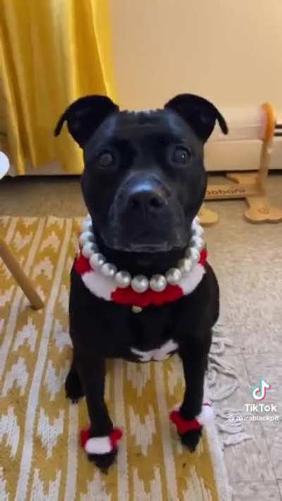 Happy tippy taps