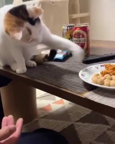 Food Distributor