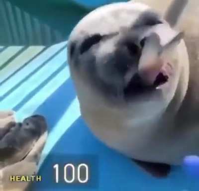 :)