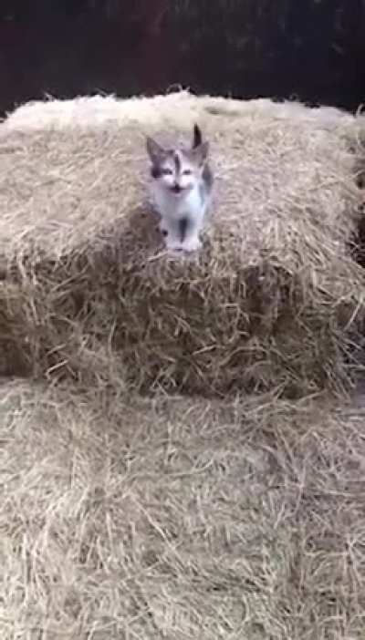 I fly!