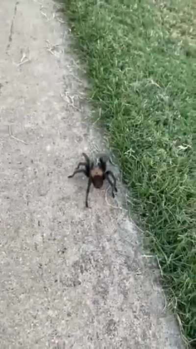Nope.......