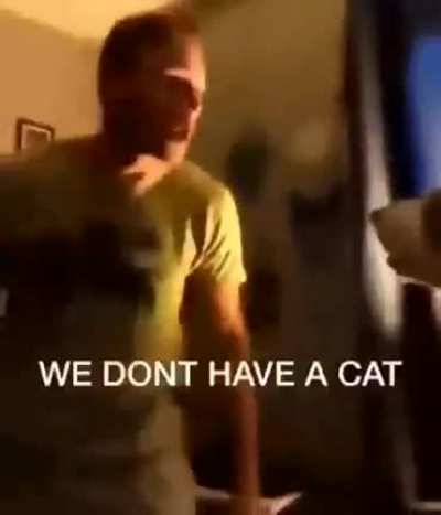 &iquest;&iquest;cat = cum??
