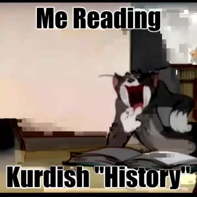 Kurdistan 🇹🇯