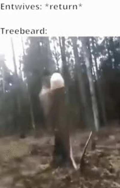 Morning Wood