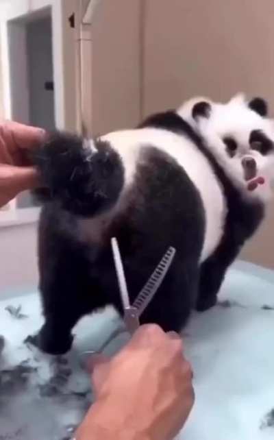 hmm