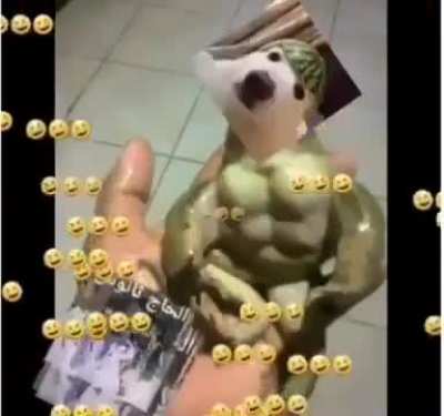 Alerta de fofura gente