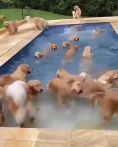 &ldquo;No running in the pool area!&rdquo;