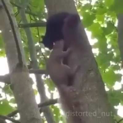 Oof