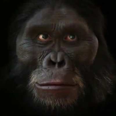 Monke