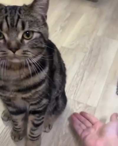 Hand ... another hand ... feet?!