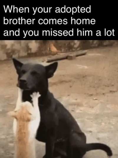 It&rsquo;s still family