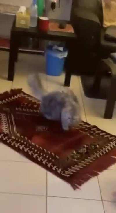 Is for me?!