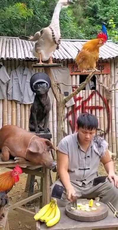 Feeding time