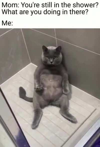 me_irl
