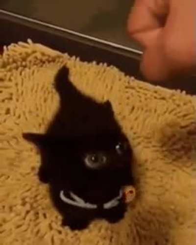 I am the night!!!