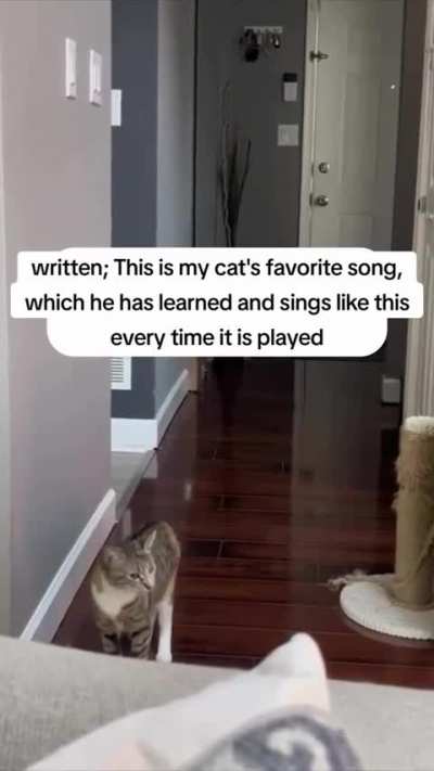Meowriah Carey