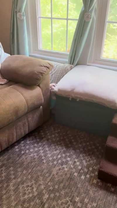 Fluff For Brains