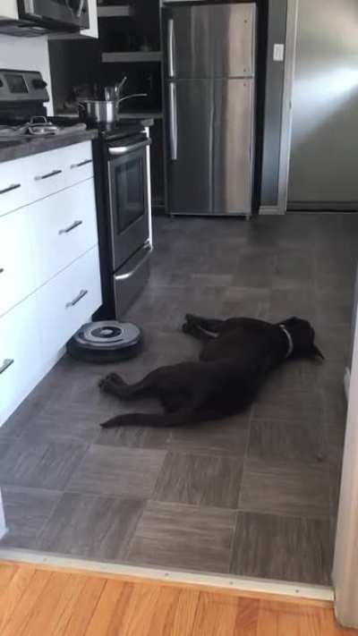 Cant be bothered