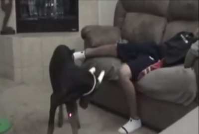Hope this isn't animal cruelty