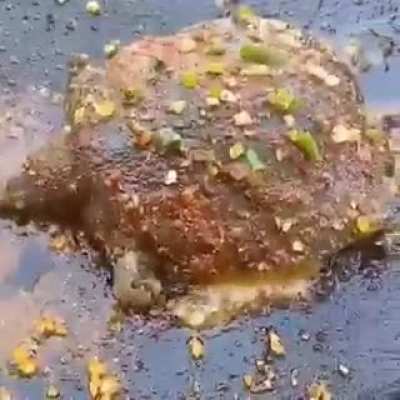 🍔🍔