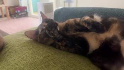 Life is hard