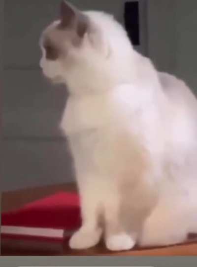 Ouchie
