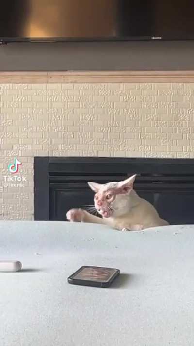 New live action Lion King looks good
