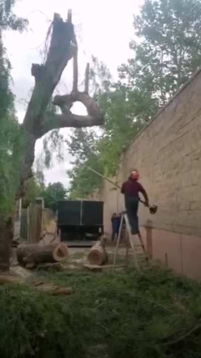 One last branch...