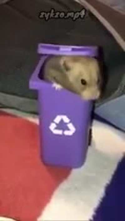 F