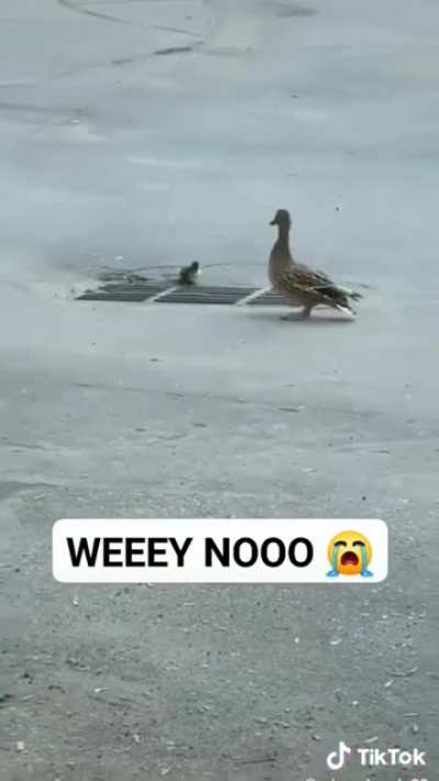 Ded